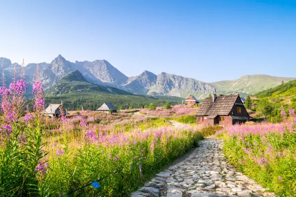 Obrazy Tatry – Drewniane Chaty na Kwietnej Łące na wymiar