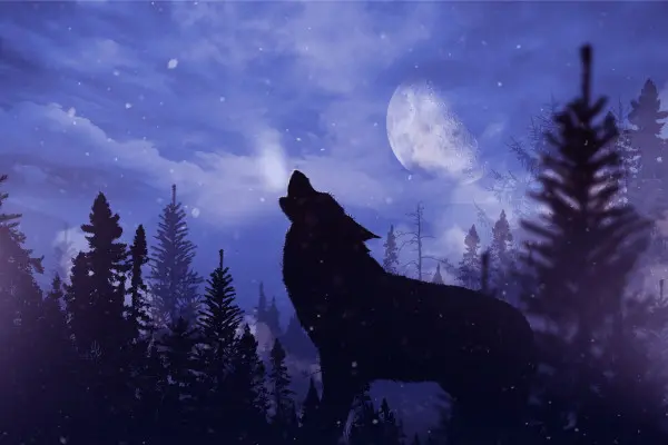 Obrazy Wilk podczas Wycia – Dzika Natura i Nocny Las na wymiar