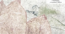 Zbliżenie wzoru Blade lotosy