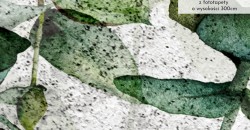 Zbliżenie wzoru Zielone pnącza