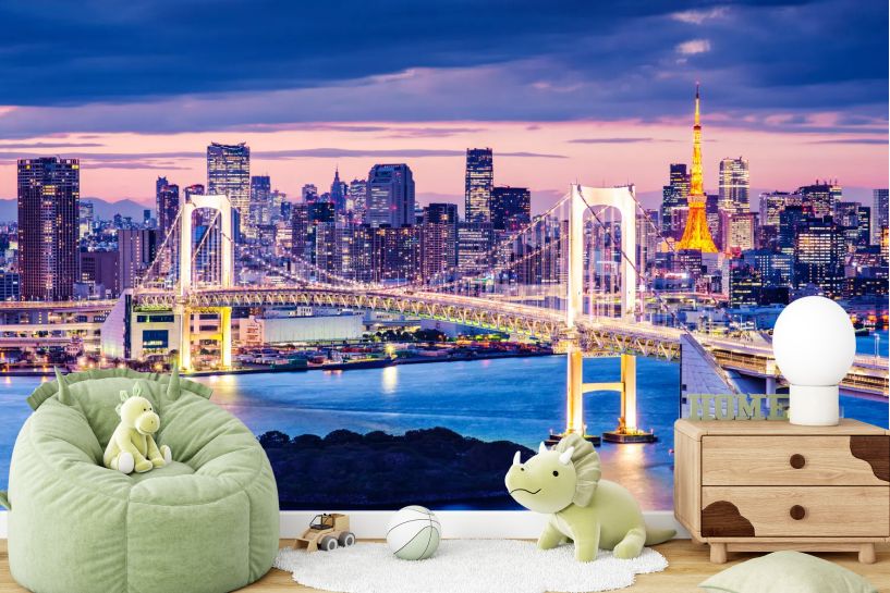 Tokio – panorama zatoki Tokyo Bay