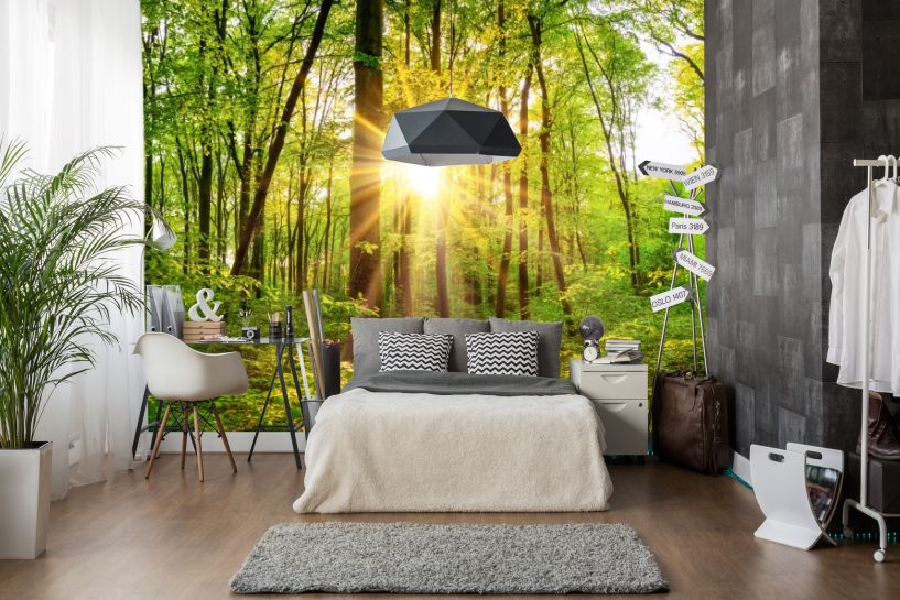 Piękna Leśna Panorama Wiosną ze Słońcem Pomiędzy Drzewami