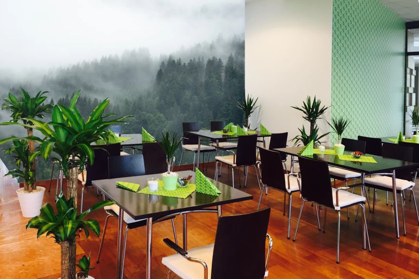 Las Schwarzwald we Mgle