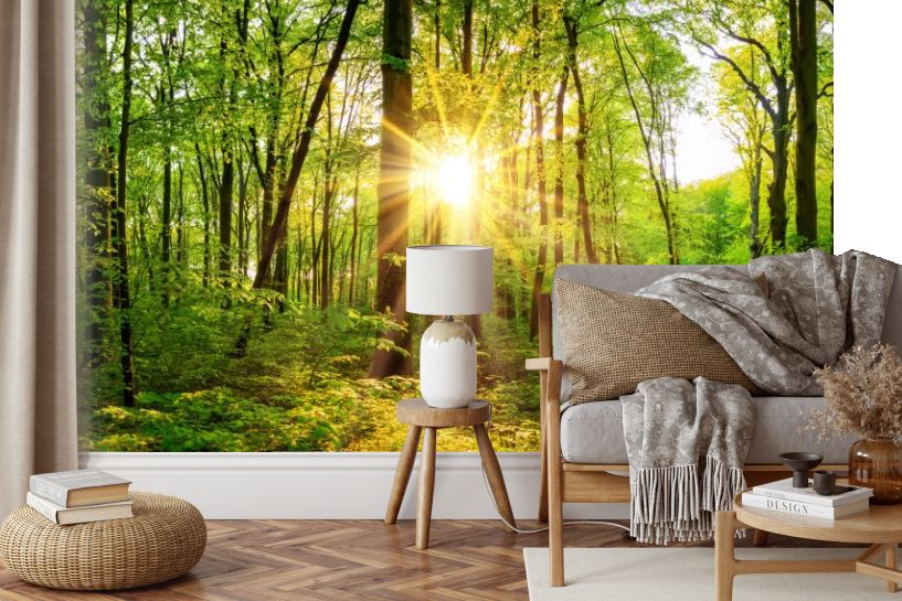 Piękna Leśna Panorama Wiosną ze Słońcem Pomiędzy Drzewami