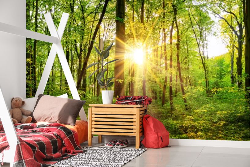 Piękna Leśna Panorama Wiosną ze Słońcem Pomiędzy Drzewami