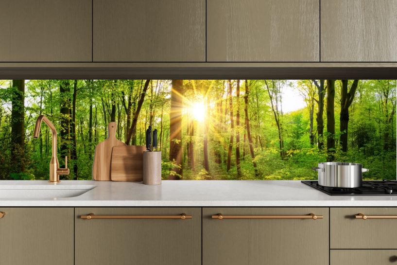 Piękna Leśna Panorama Wiosną ze Słońcem Pomiędzy Drzewami