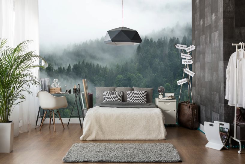 Las Schwarzwald we Mgle