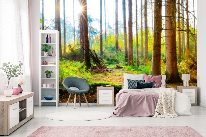 Panorama Jesiennego Lasu z Promieniami Słońca