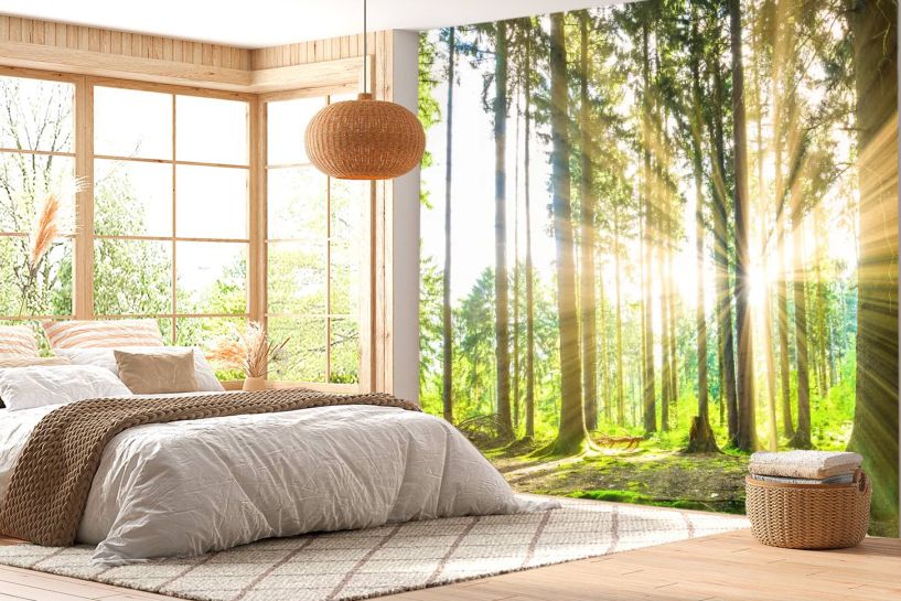 Las Panorama – Promienie Słońca wśród Drzew