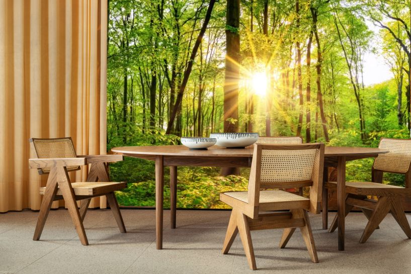 Piękna Leśna Panorama Wiosną ze Słońcem Pomiędzy Drzewami
