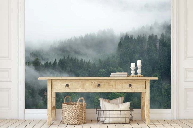 Las Schwarzwald we Mgle