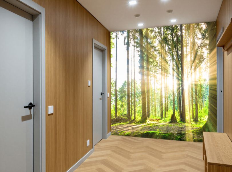 Las Panorama – Promienie Słońca wśród Drzew
