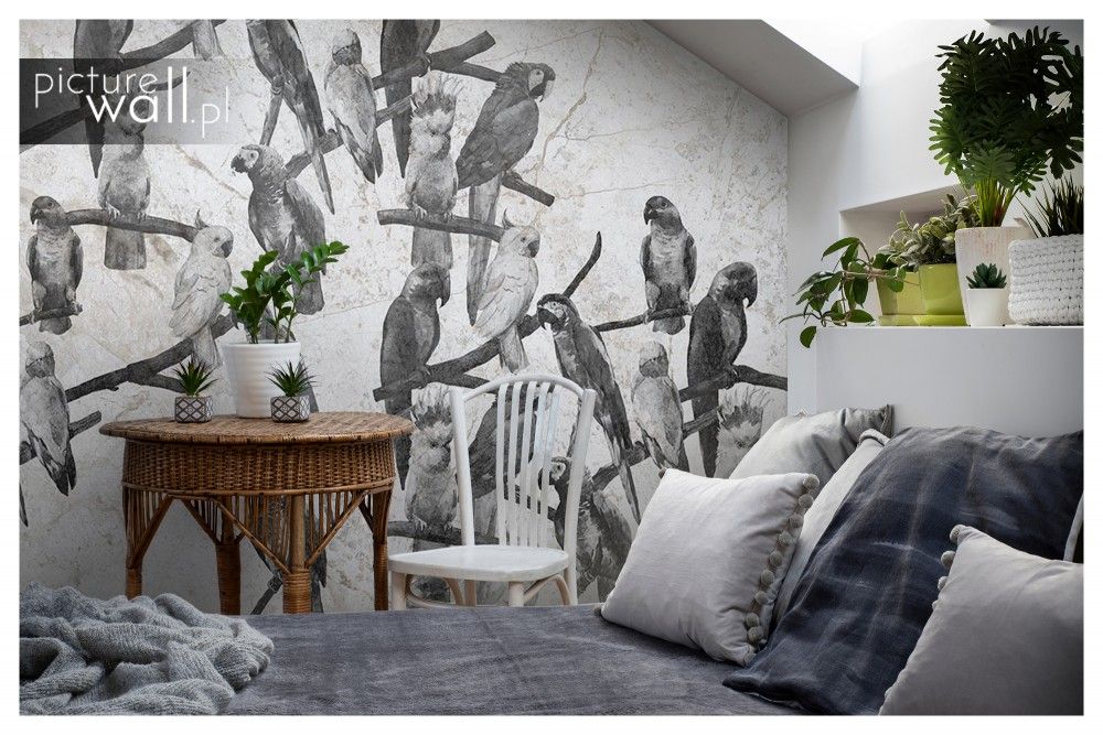 Fototapety z motywem Białe papugi