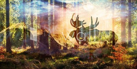 Podgląd wzoru Tajemnice lasu