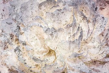 Podgląd wzoru Betonowa piwonia