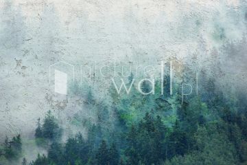 Podgląd wzoru Leśny spękany tynk