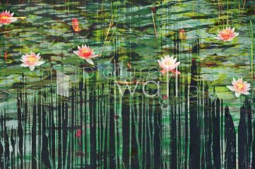 Malowane lilie wodne