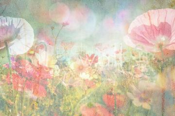 Podgląd wzoru Wiosenna łąka