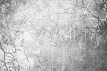 Podgląd wzoru Monochromatyczne gałęzie