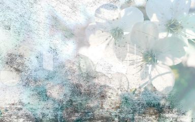 Podgląd wzoru Delikatne wiśniowe kwiaty