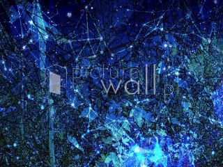 Podgląd wzoru Refleksy