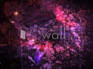 Podgląd wzoru Mocne refleksy