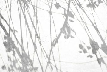 Podgląd wzoru Jasne monochromatyczne gałęzie