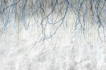 Podgląd wzoru Białe gałęzie