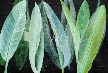 Podgląd wzoru Jaskrawe liście bananowca