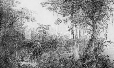 Podgląd wzoru Leśny rysunkowy fresk