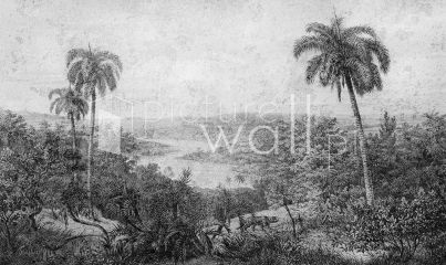 Podgląd wzoru Fresk tropikalny