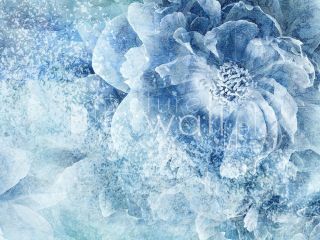 Podgląd wzoru Płatki piwoni