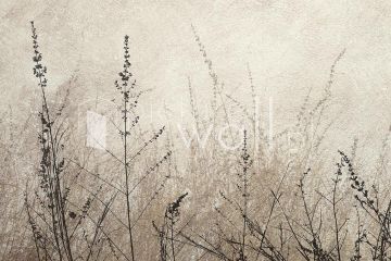 Podgląd wzoru Trawki