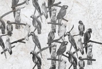 Podgląd wzoru Białe papugi