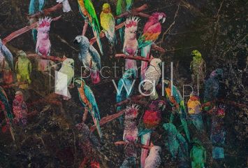 Podgląd wzoru Papugi