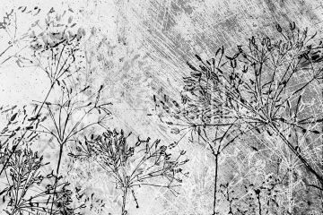 Podgląd wzoru Szare trawy