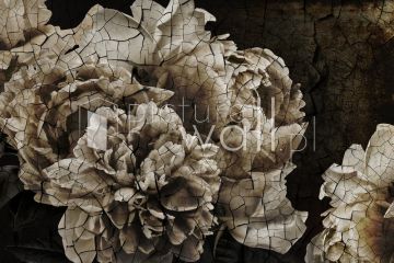 Podgląd wzoru Spękane dekadenckie kwiaty