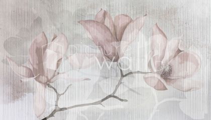 Delikatne magnolie