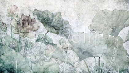 Podgląd wzoru Lotosy