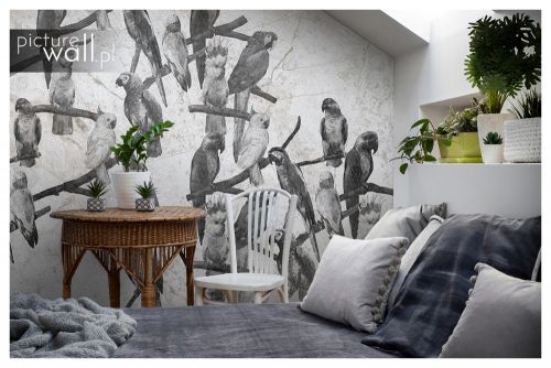 Fototapeta Białe papugi