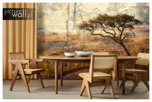 Fototapeta samoprzylepna Afrykański fresk