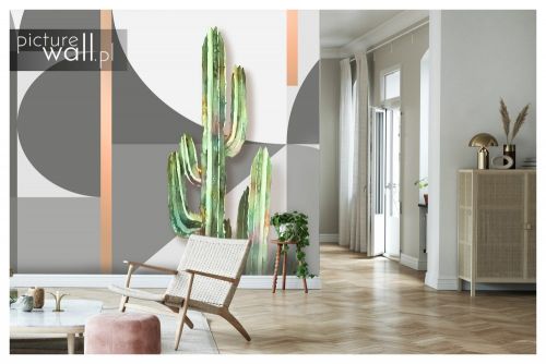 Fototapeta samoprzylepna Kolorowe kaktusy i szarości