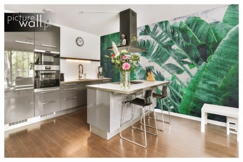 Fototapeta Ściana liści