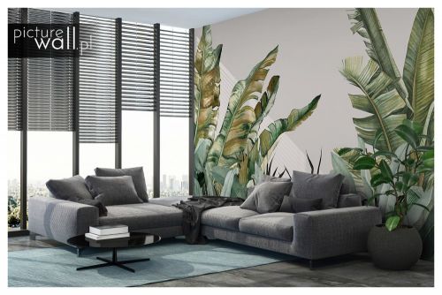 Fototapeta Dżungla liście gładkie tło