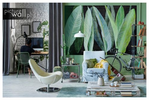 Fototapeta samoprzylepna Jaskrawe liście bananowca