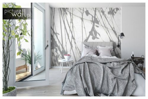 Fototapeta Jasne monochromatyczne gałęzie