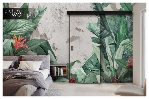 Fototapeta Liście palm i bananowców