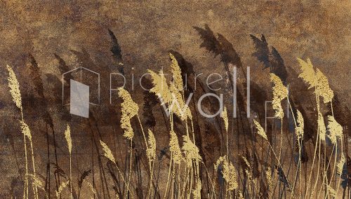 Fototapeta złote trawy